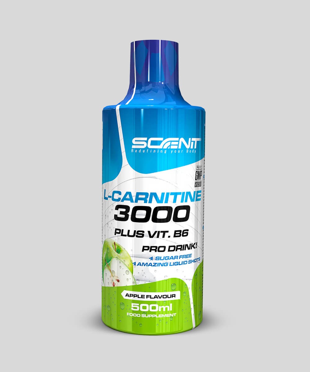 L-CARNITINE 3000 DRINK SCENIT + VIT B6-500ML LEMON FLAVOR